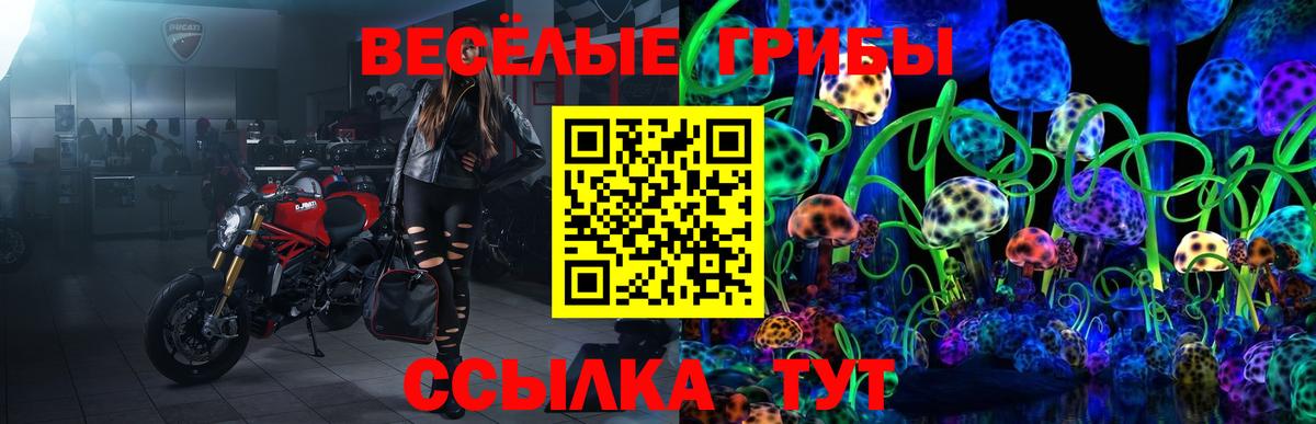 Галлюциногенные грибы Psilocybe Кинешма