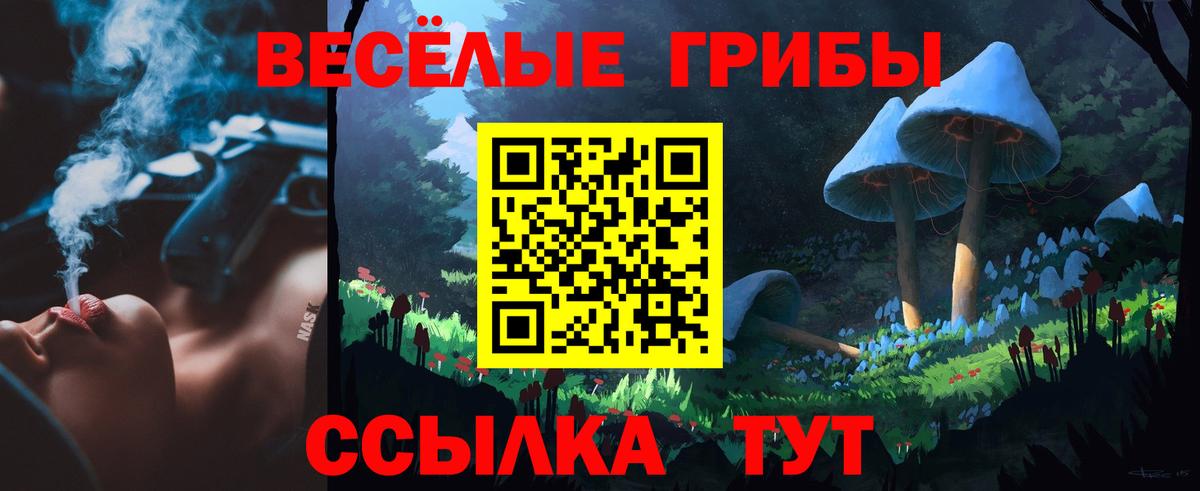 Кинешма  Псилоцибиновые грибы MAGIC MUSHROOMS  Вход с VPN 